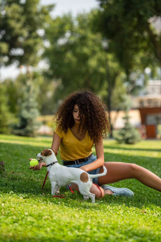 Selektywne skupienie młodej kobiety trzymającej piłkę tenisową i patrzącej na psa - Zdjęcie, obraz