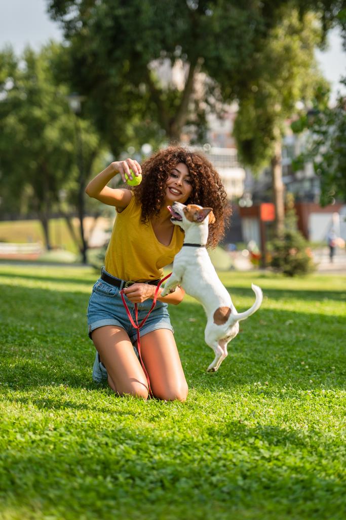 Selective focus of young woman holding tennis ball and looking at jumping dog - Photo, Image