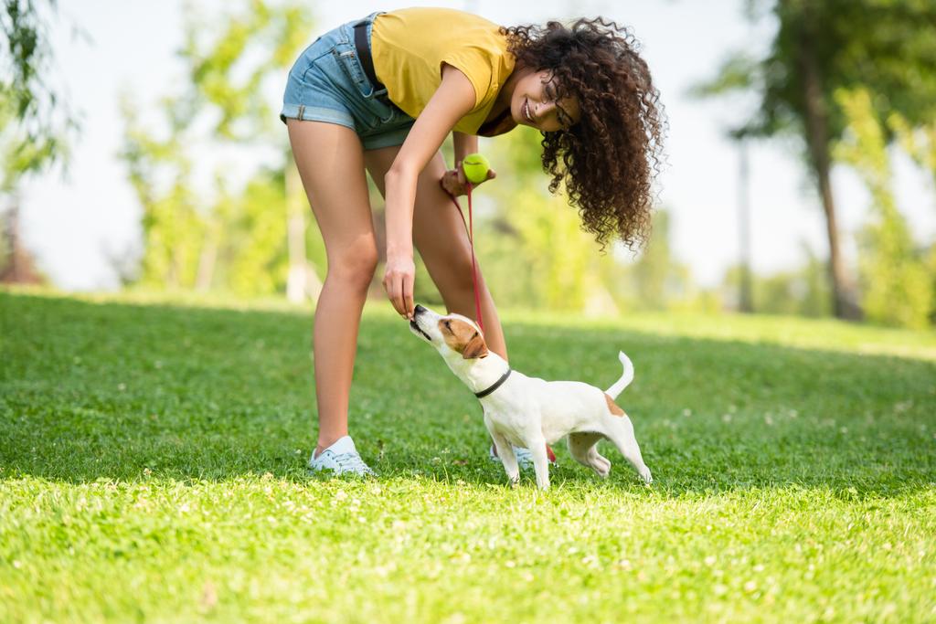Concentration sélective de la jeune femme touchant chien et tenant balle de tennis - Photo, image