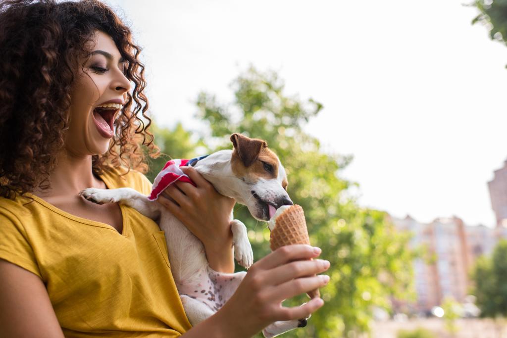 Selective focus of young woman with open moth looking at dog licking ice cream - Photo, Image