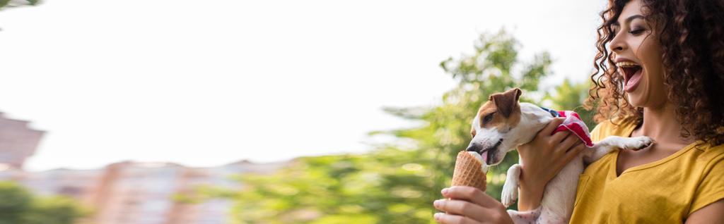 パノラマ作物の若いです女性のオープン蛾見ます犬なめるアイスクリーム - 写真・画像
