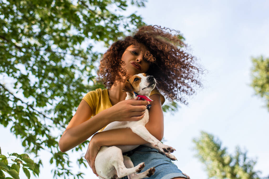 низкий угол зрения кудрявая женщина держит Джек Рассел терьер собака и делает утку лицо против голубого неба и ветвей - Фото, изображение