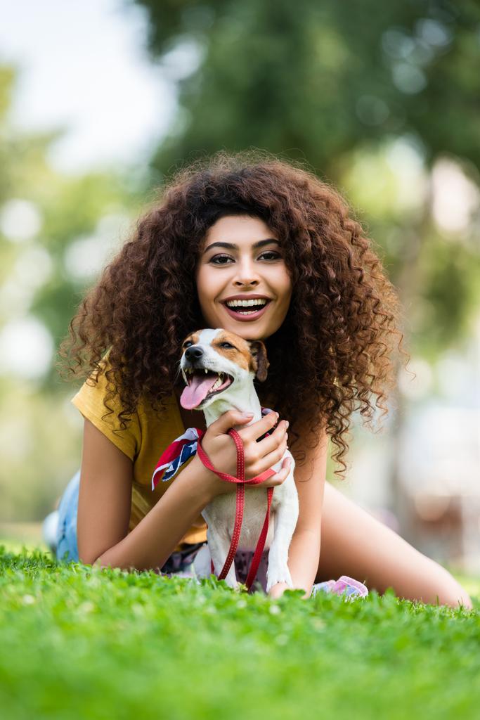 vzrušená žena se směje a dívá se na kameru, zatímco leží s jack Russell teriér pes na zeleném trávníku - Fotografie, Obrázek