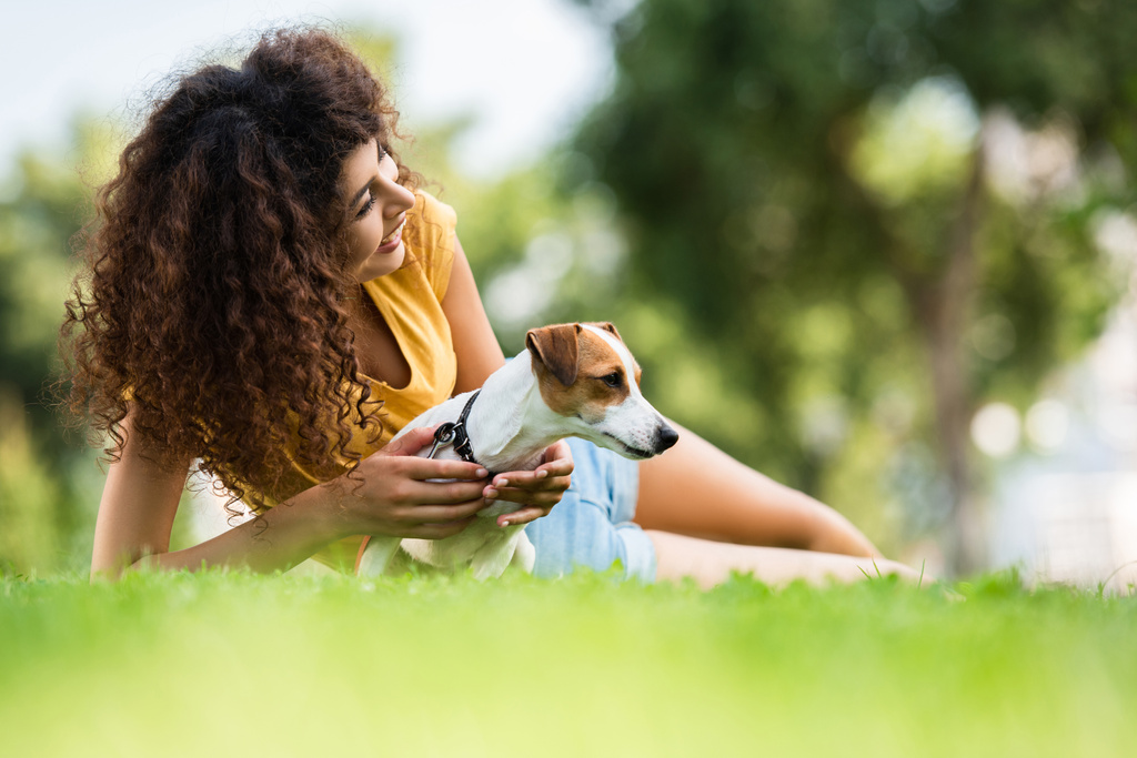 selektywne skupienie kręconej kobiety odwracając wzrok i śmiejąc się leżąc na trawniku z psem terrier Jacka Russella - Zdjęcie, obraz