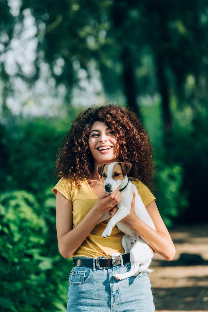mujer riendo mirando a la cámara mientras sostiene gato russell terrier perro en parque - Foto, imagen