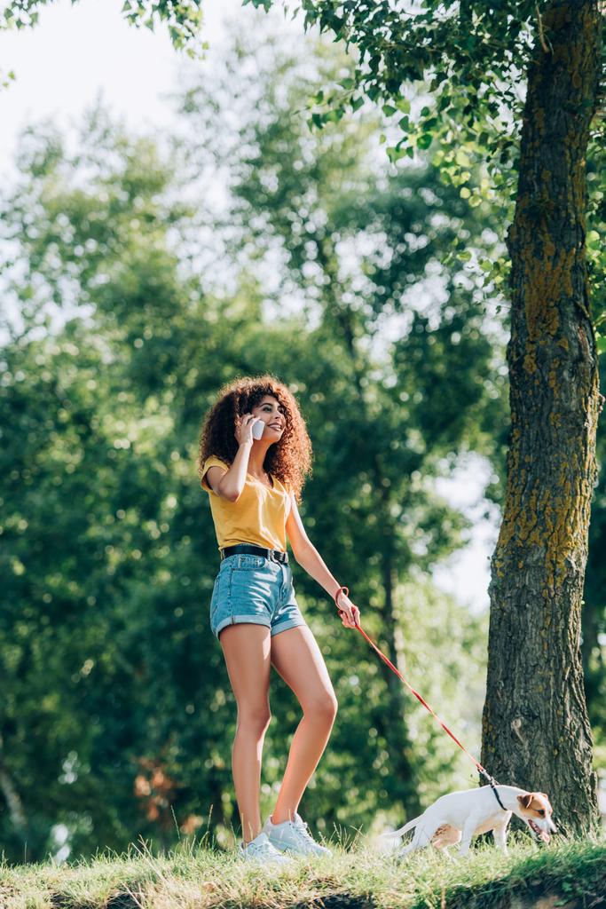 веселая молодая женщина в летнем наряде гуляет с Джеком Расселом в парке и разговаривает по мобильному телефону - Фото, изображение