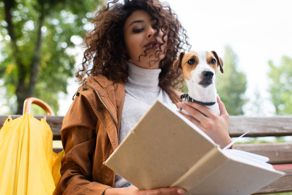 vista de ángulo bajo de la mujer rizada sosteniendo gato russell terrier perro mientras lee libro en el parque - Foto, Imagen