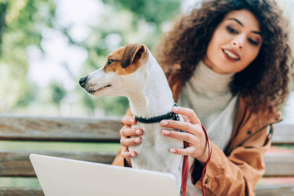 избирательный фокус брюнетки фрилансер обнимающий Джек Рассел терьер собака, сидя в парке с ноутбуком - Фото, изображение