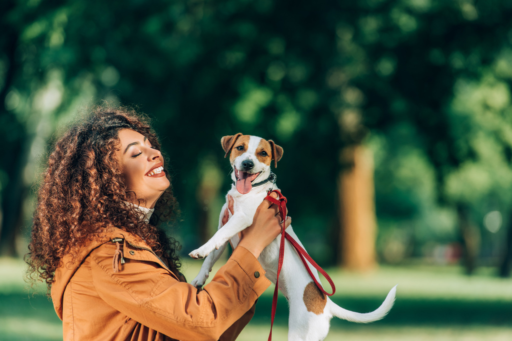 Vista lateral de mujer joven en impermeable sosteniendo jack russell terrier con la lengua que sobresale en el parque  - Foto, Imagen