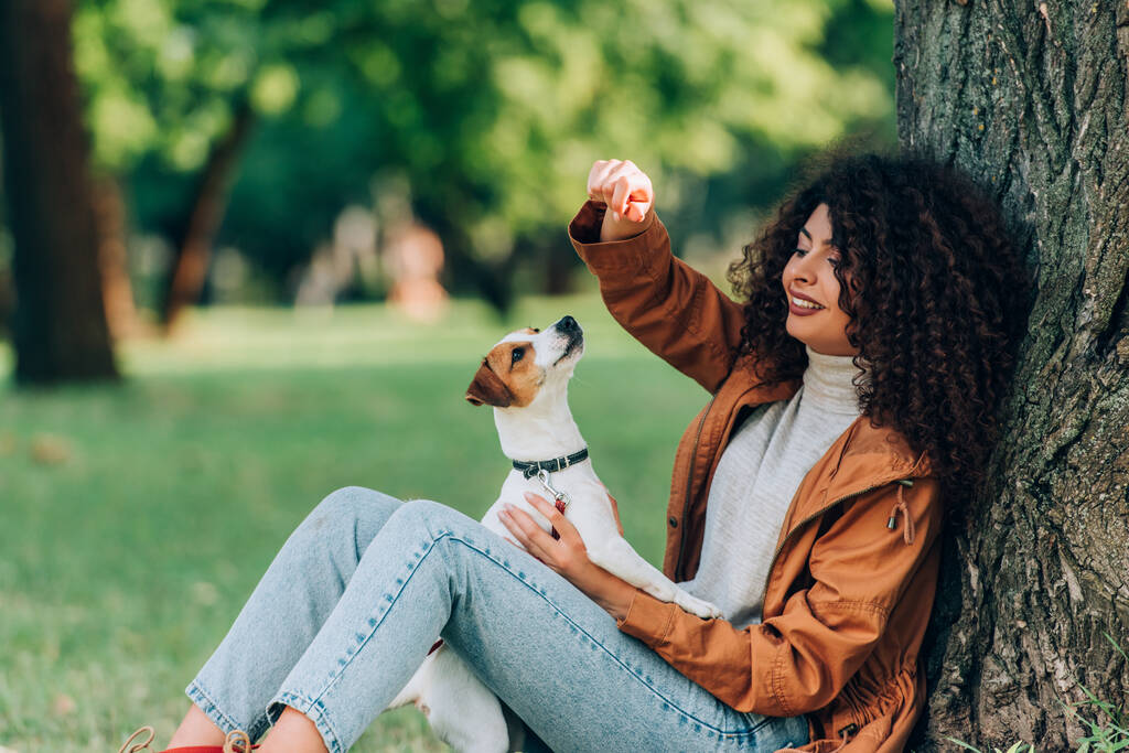 若いです巻き女性でレインコート遊びますとともにジャックrussell terrier近くツリーで公園  - 写真・画像