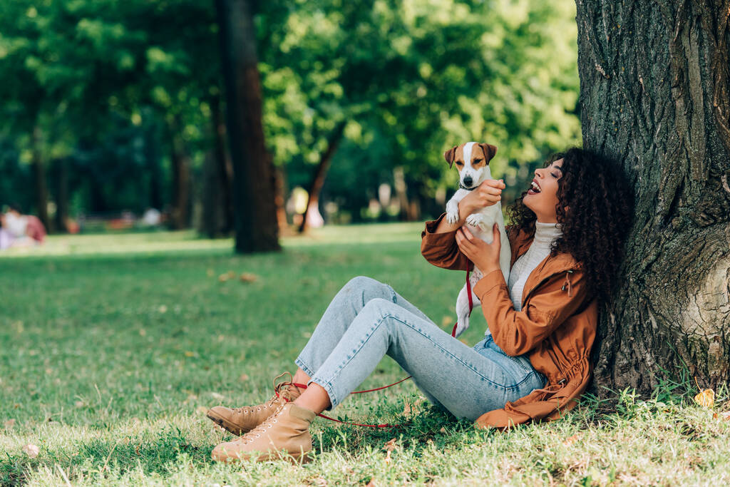 Selektywne skupienie kręconych kobiet w dżinsach i płaszczu przeciwdeszczowym gospodarstwa Jack Russell terrier w pobliżu drzewa w parku  - Zdjęcie, obraz