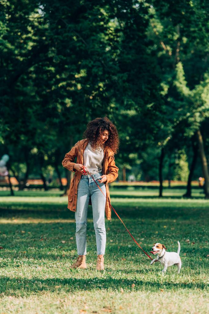 Selektywne skupienie kobiety w płaszczu przeciwdeszczowym trzymającej smycz w pobliżu Jacka Russella Terriera na szkle w parku  - Zdjęcie, obraz