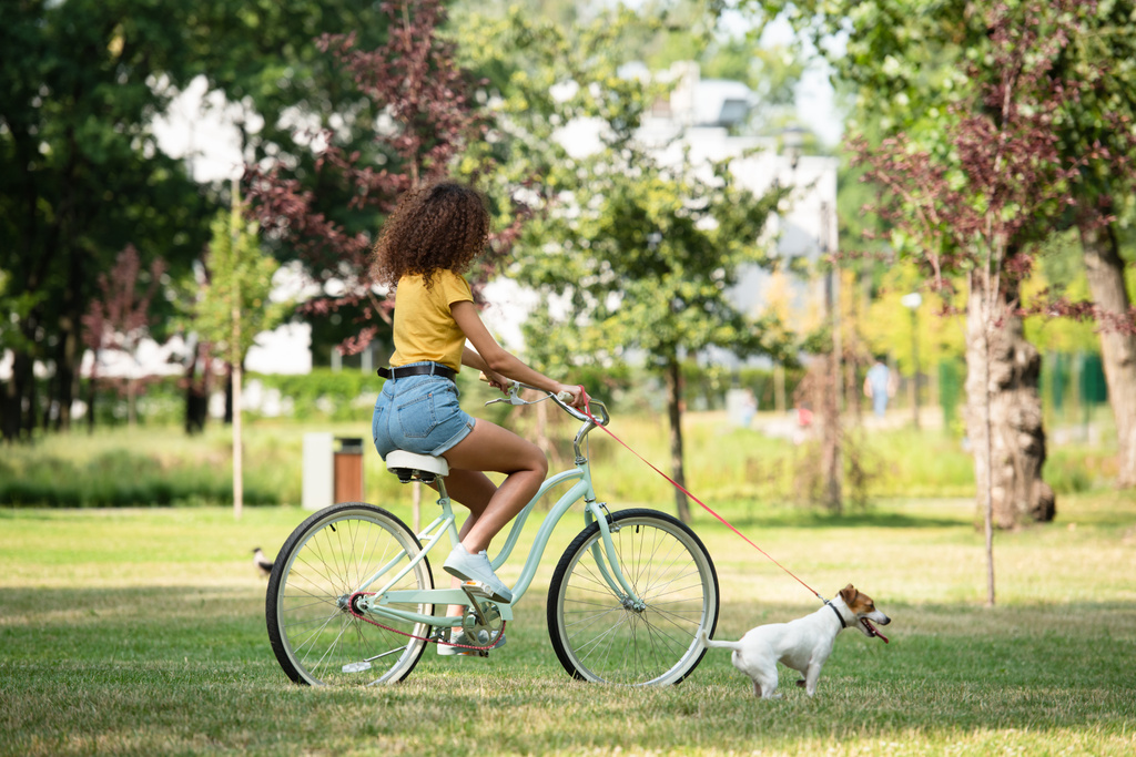 Selective focus of young woman holding jack russell terrier on leash while cycling in park  - Photo, Image
