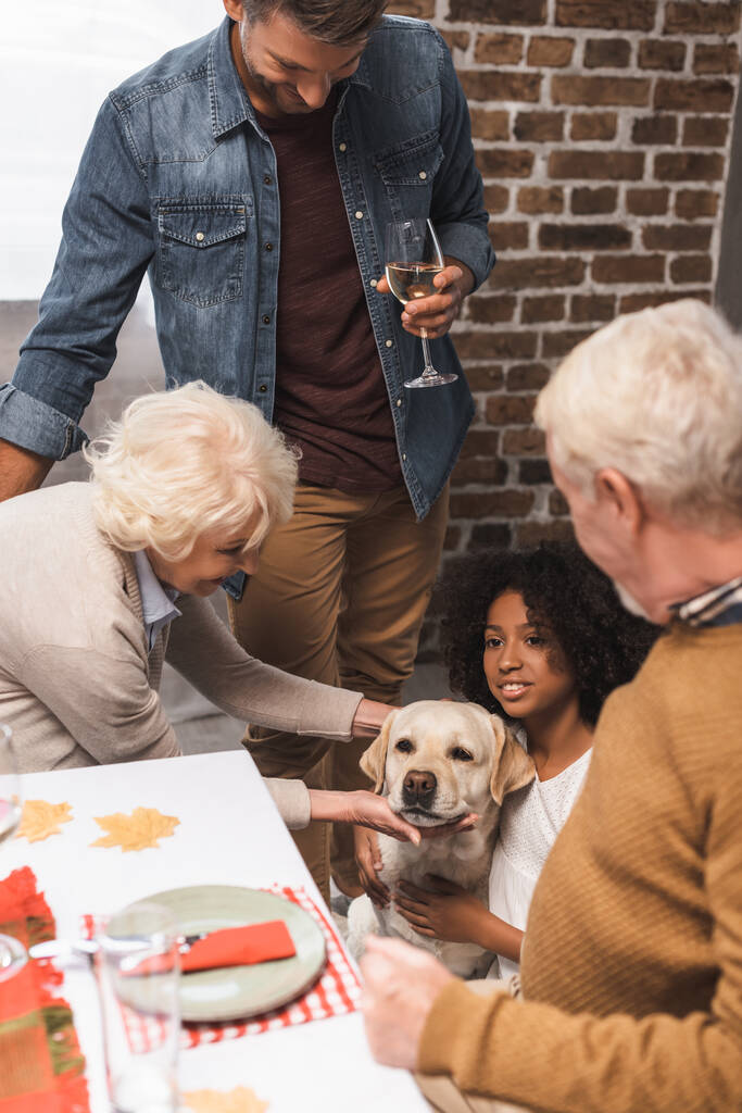 senior woman stroking golden retriever during thanksgiving celebration with multicultural family - Photo, Image