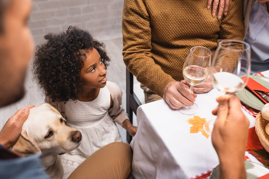 selective focus of african american girl and golden retriever near family celebrating thanksgiving day - Photo, Image