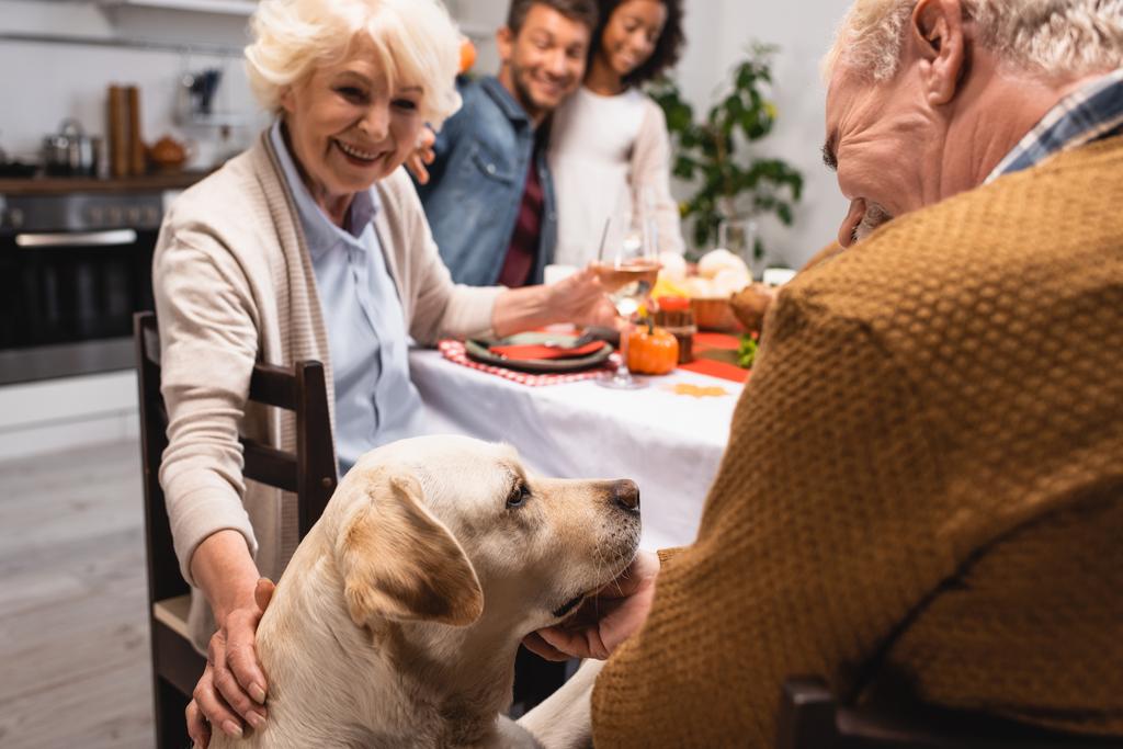 радостная пожилая женщина гладит золотистого ретривера во время ужина в честь Дня Благодарения с мультикультурной семьей - Фото, изображение