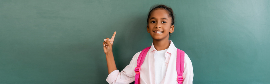 Horizontal concept of african american schoolgirl pointing at green chalkboard in classroom - Photo, Image