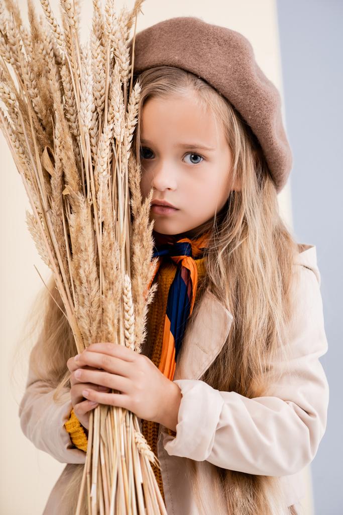 fashionable blonde girl in autumn outfit with wheat spikes - Photo, Image