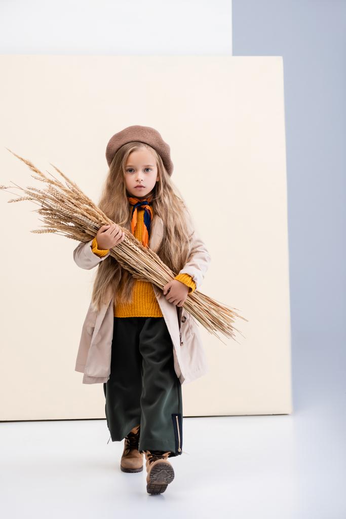 chica rubia de moda en traje de otoño caminando con espigas de trigo sobre fondo beige y blanco - Foto, Imagen