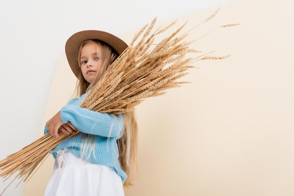 nízký úhel pohledu na módní blondýny dívka v klobouku a modrý svetr s pšeničnými hroty na béžové a bílé pozadí - Fotografie, Obrázek