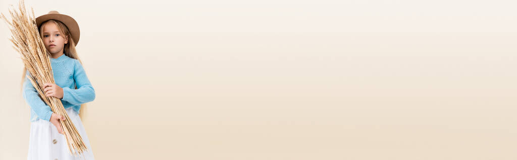 chica rubia de moda en sombrero y suéter azul con espigas de trigo aislado en beige, plano panorámico - Foto, Imagen