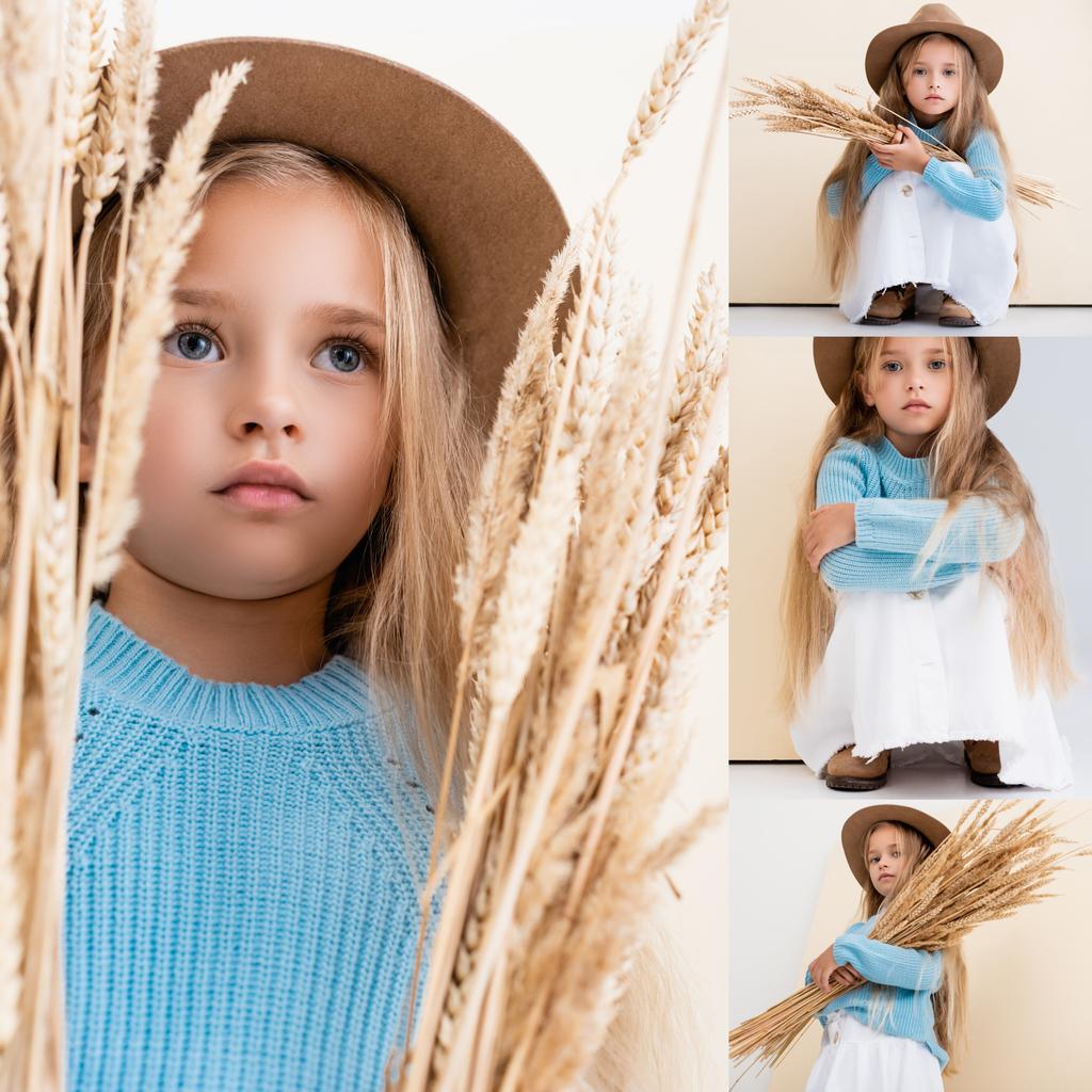 collage van modieuze blonde meisje in hoed en blauwe trui met tarwe spikes - Foto, afbeelding