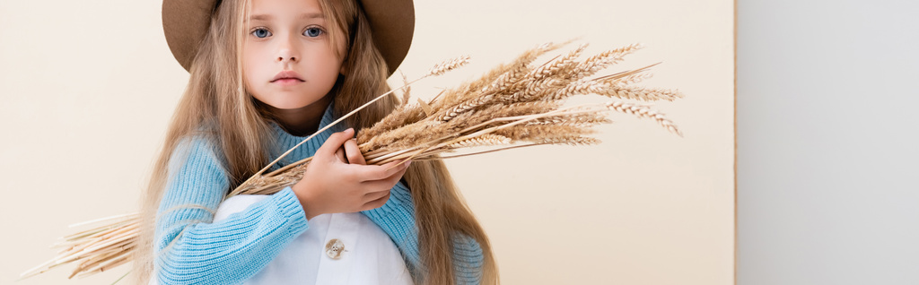 fashionable blonde girl in hat, white skirt and blue sweater with wheat spikes sitting on beige background, panoramic shot - Photo, Image