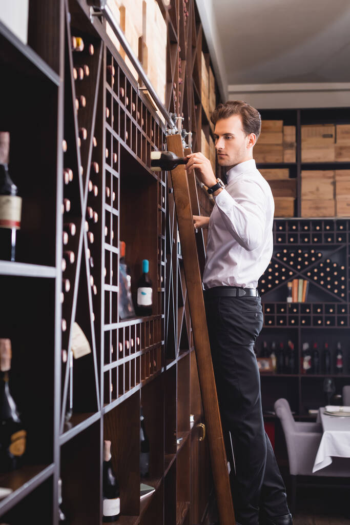 Seitenansicht eines Sommeliers, der eine Flasche Wein hält, während er auf einer Leiter in der Nähe von Regalen steht  - Foto, Bild