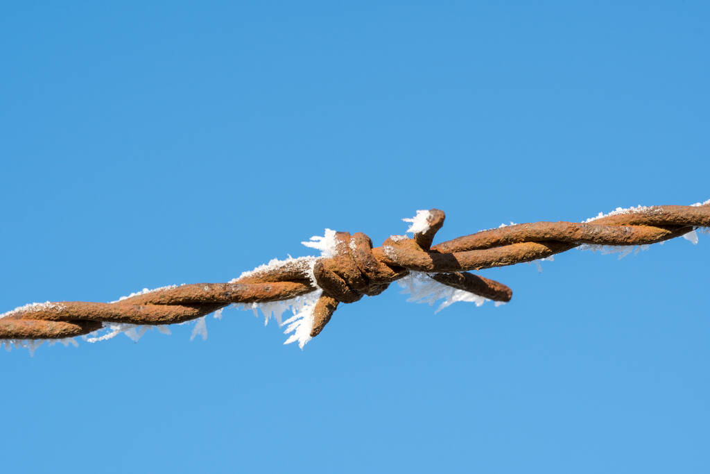 Huurrettu piikkilanka jääkiteillä kirkkaalla taivaalla tausta - Valokuva, kuva