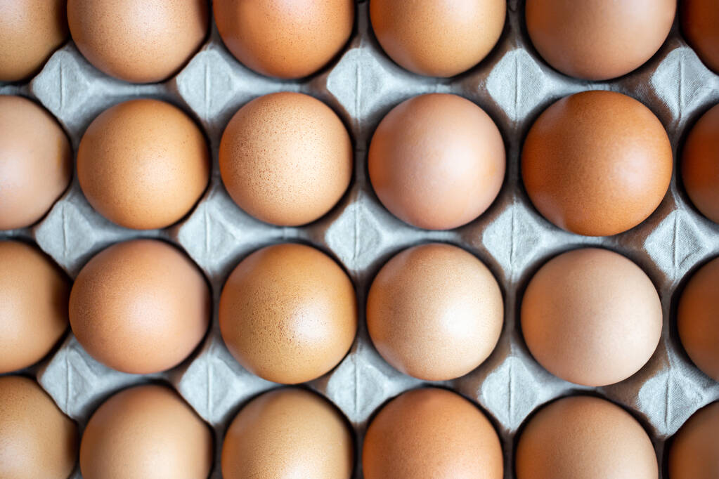 Nahaufnahme von frischem Hühnerei auf Eierschachtel, Panel, auf weißem Hintergrund mit einer zerbrechlichen Eierschale zum Kochen für Mahlzeiten und frischem und natürlichem Ei für ein gesundes Konzept - Foto, Bild