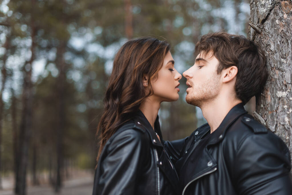 Young brunette woman kissing boyfriend in leather jacket near tree in forest  - Photo, Image