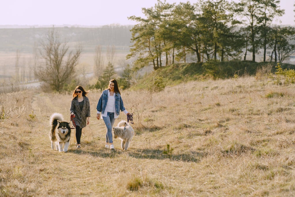 Две стильные девушки на весеннем поле с собакой - Фото, изображение