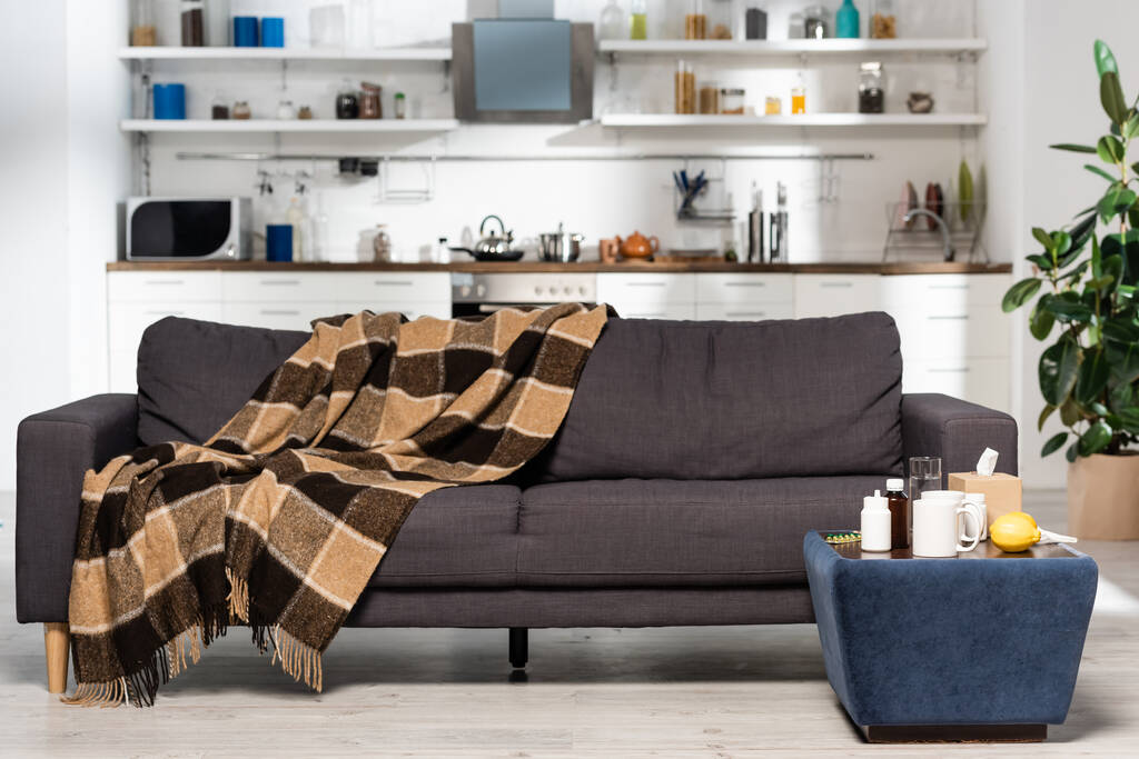 простора кухня з сучасними меблями, плетена ковдра на сірому дивані, ліки та свіжі лимони на тумбочці
 - Фото, зображення