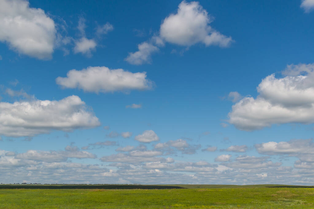 青い空の白い明るいふわふわの雲緑の野オープンスペース - 写真・画像