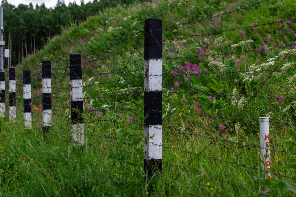 postes de valla de rayas blancas y negras con soporte de alambre de púas en hierba densa con flores rosadas en campo verde, colina - Foto, Imagen