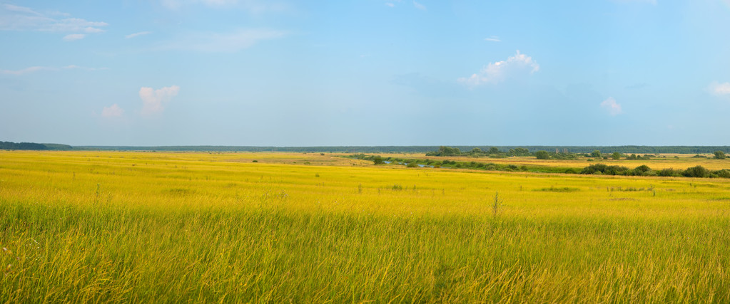 Panorama der sommerlichen Landschaft - Foto, Bild