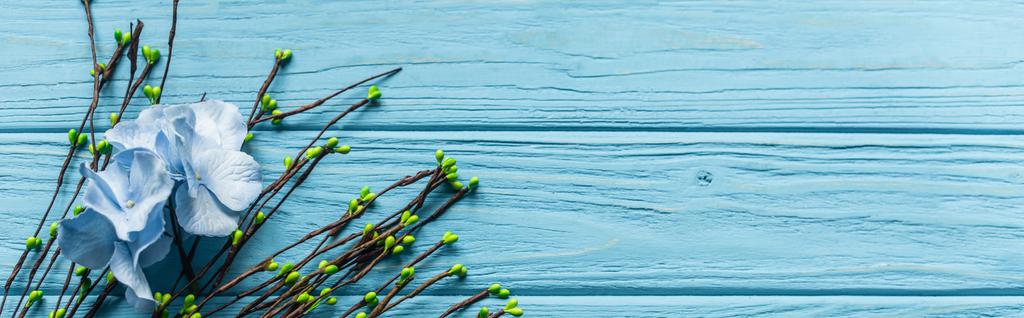 вид сверху на деревянный синий фон с цветущими ветвями и цветами, панорамный снимок - Фото, изображение