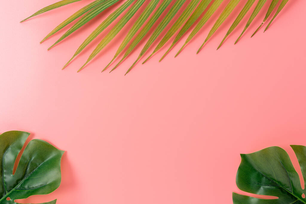 Liście palmy na różowym tle. Kreatywna minimalna koncepcja lata. - Zdjęcie, obraz