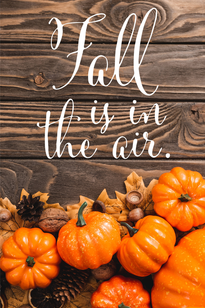 ylhäältä näkymä syksyllä koristelu ja kurpitsat lähellä syksyä on ilmassa kirjoitus puinen tausta - Valokuva, kuva