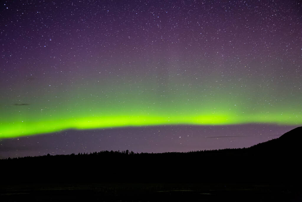Severní světla, aurora borealis, v kanadské přírodě - Fotografie, Obrázek