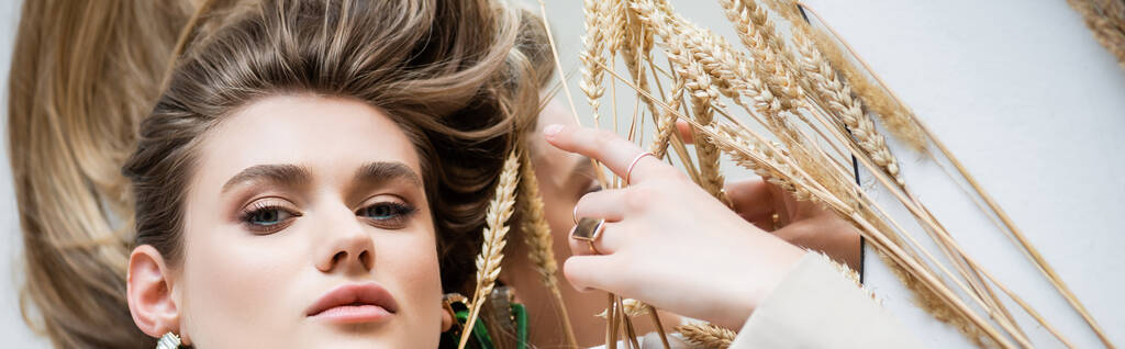 top view of woman lying near wheat spikelets on white, banner - Photo, Image