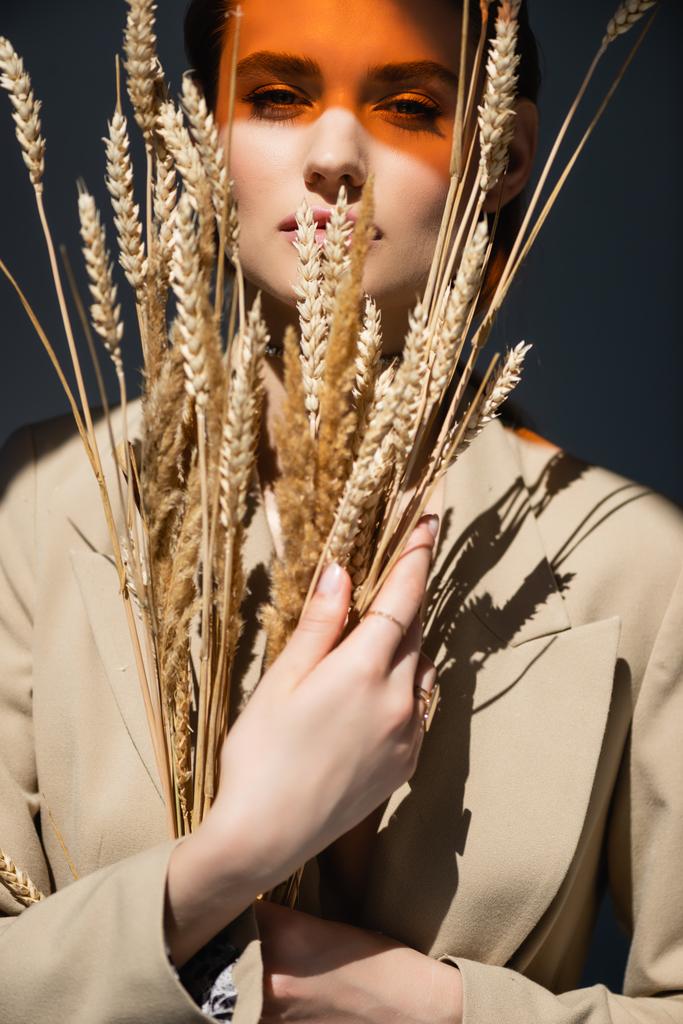jovem mulher em blazer olhando para a câmera e segurando espiguetas de trigo no cinza escuro - Foto, Imagem