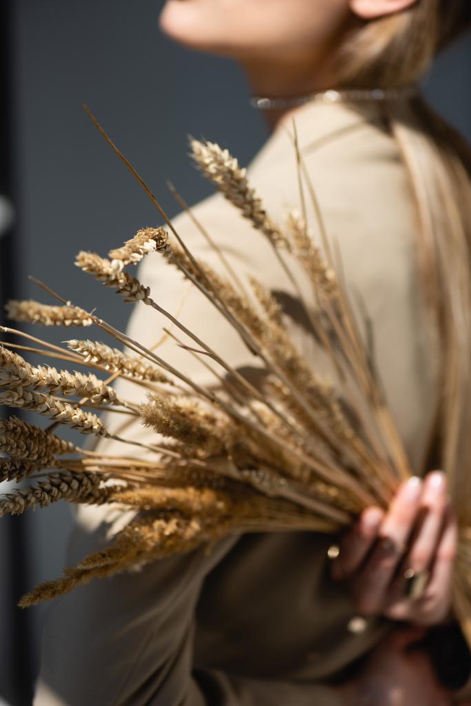 zralé pšeničné hroty se ženou na rozmazaném a tmavě šedém pozadí - Fotografie, Obrázek