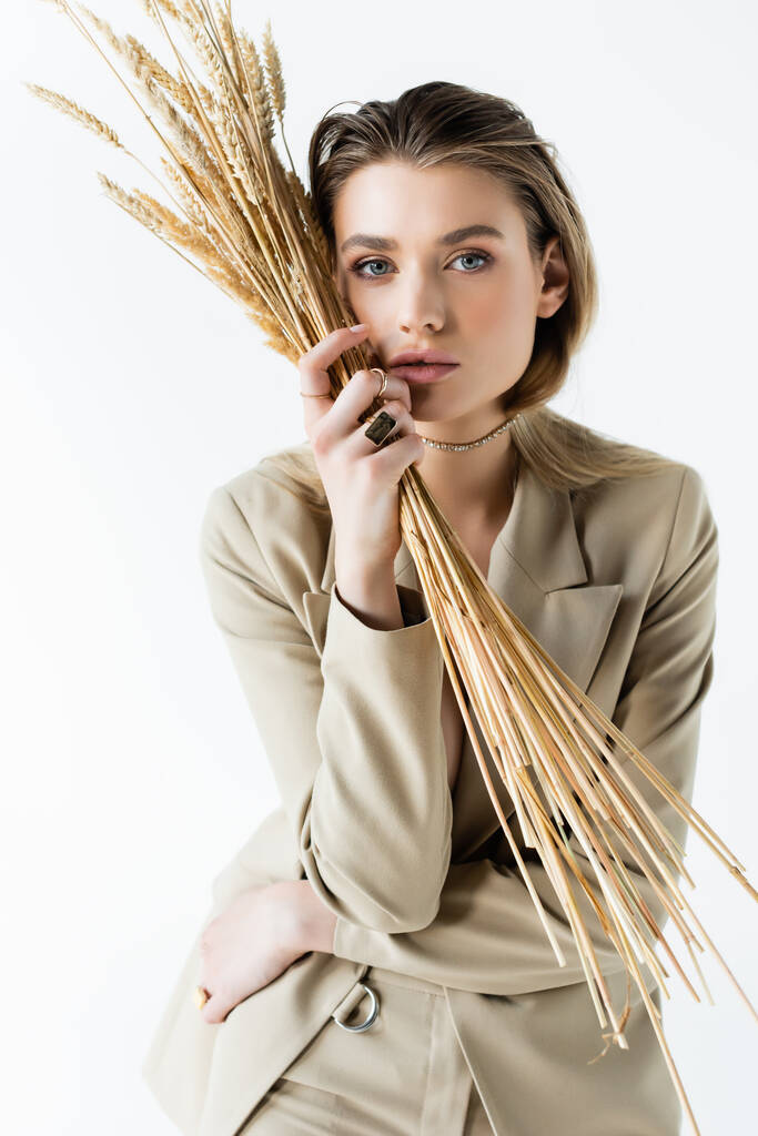 modelo joven en traje sosteniendo espiguillas de trigo en blanco - Foto, Imagen