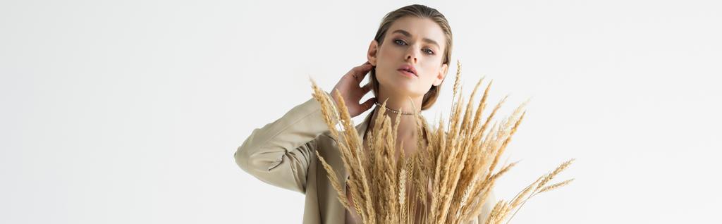 stylový model v béžovém obleku s pšeničnými hroty pózující izolovaně na bílém, banner - Fotografie, Obrázek