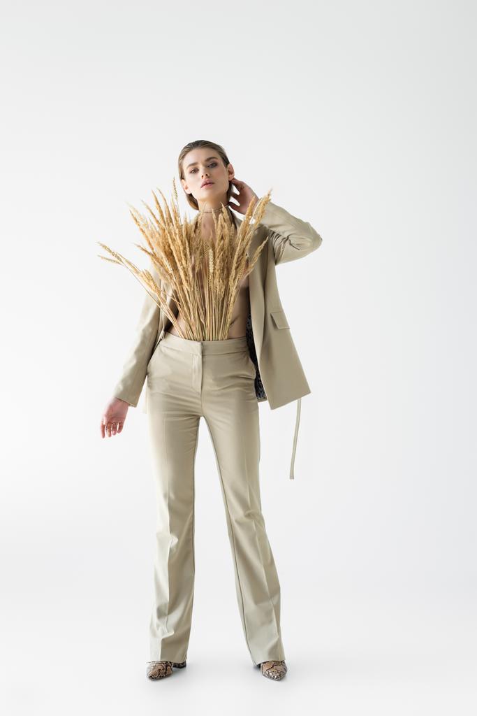 стильная женщина в бежевом костюме с пшеничными шипами, позирующими на белом  - Фото, изображение