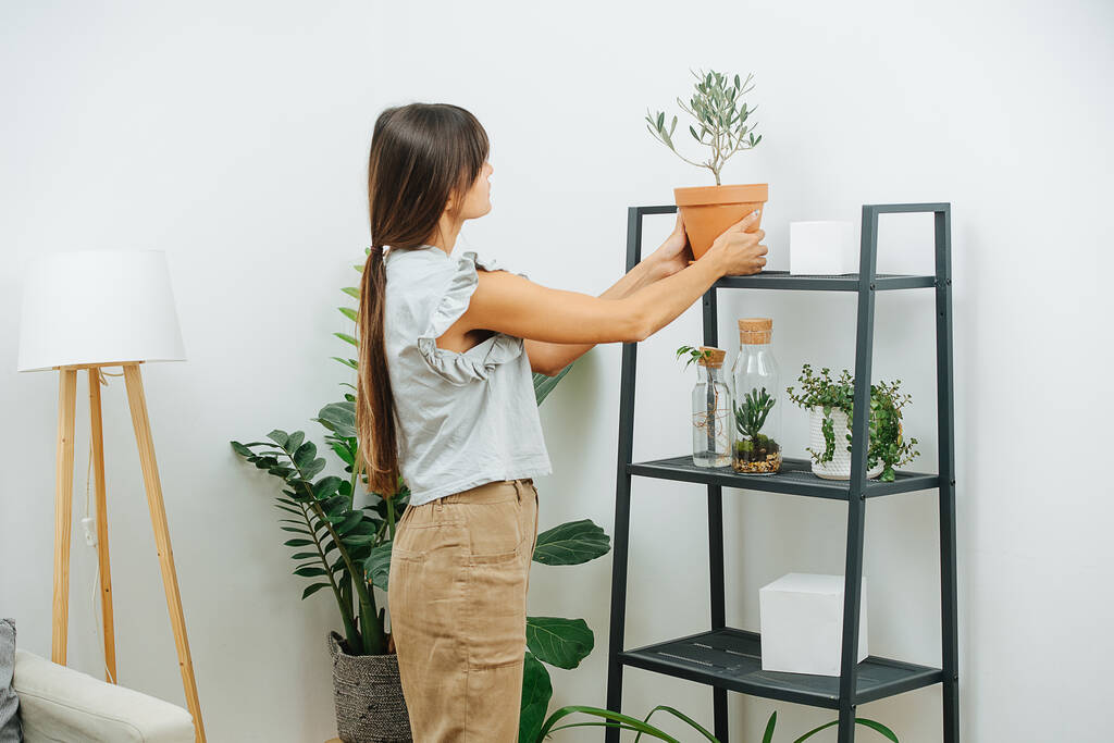 Cuidar a la joven colocando lentamente una planta en maceta en un estante en una sala de estar - Foto, Imagen