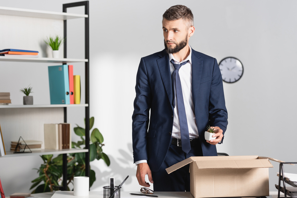 Уволенный бизнесмен держит завод рядом с коробкой и канцелярскими принадлежностями на офисном столе  - Фото, изображение