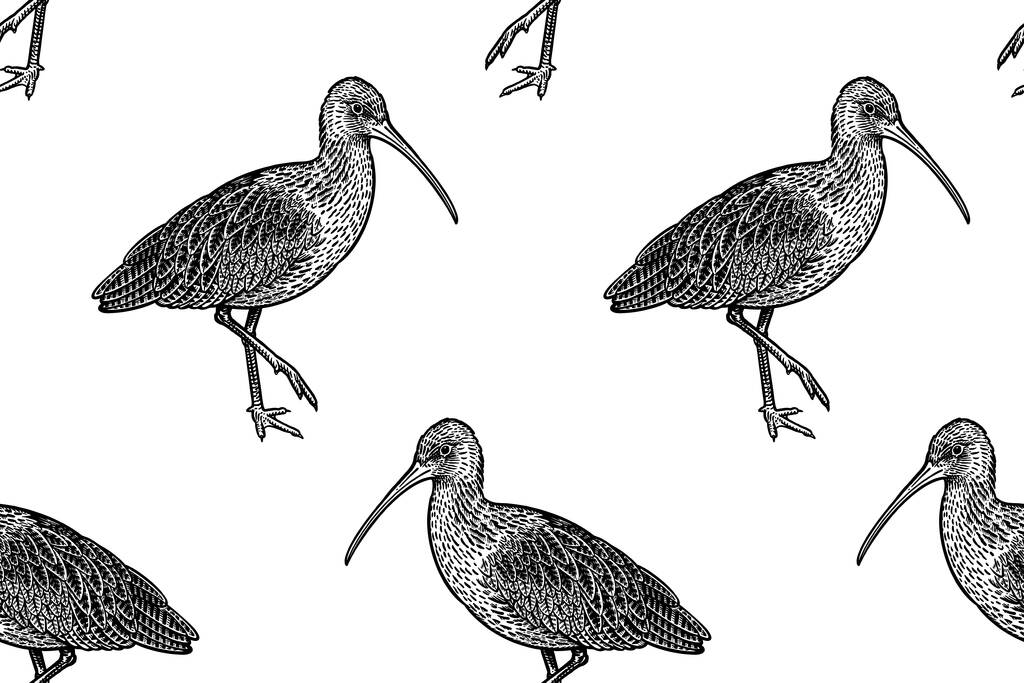 Cute birdies ibises in profile. Seamless pattern. Black graphics on a white background. Vector illustration. Vintage engraving. Template for the design of paper, wallpaper, textiles. - Vector, Image