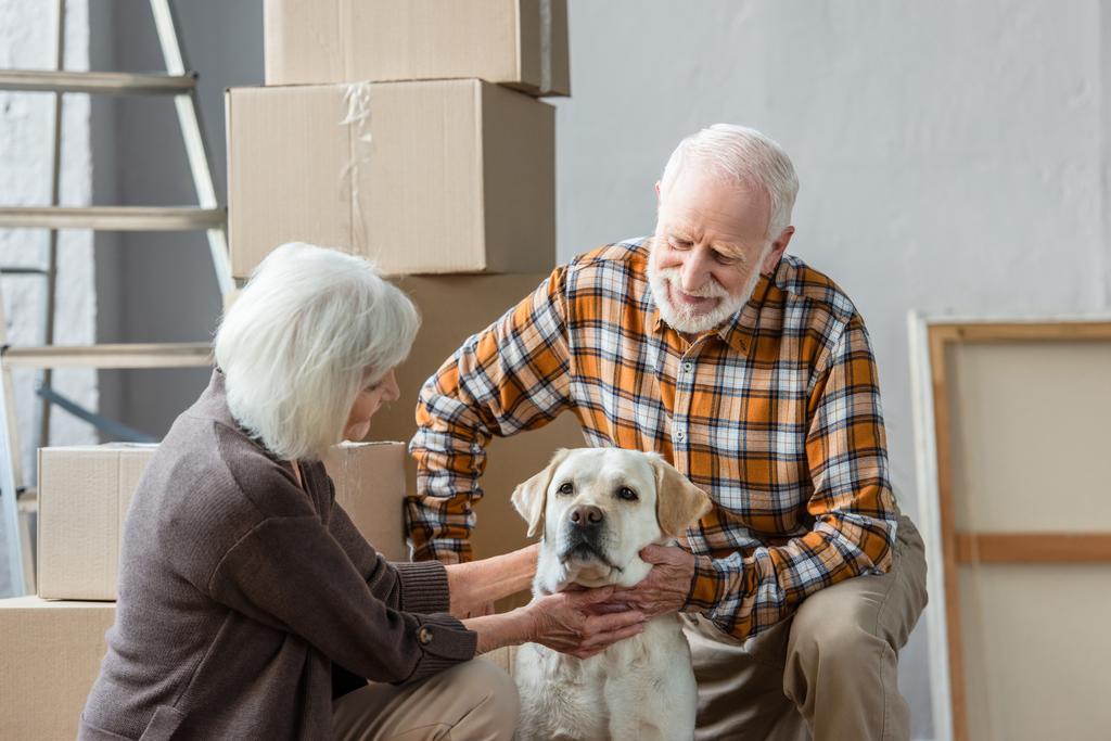 Yeni evde arka planda karton kutuları olan mutlu yaşlı çift evcil köpek. - Fotoğraf, Görsel